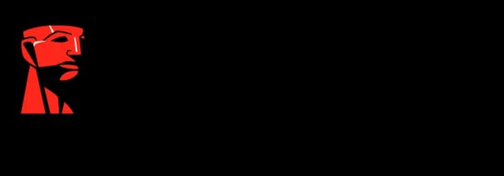 Kingston logo
